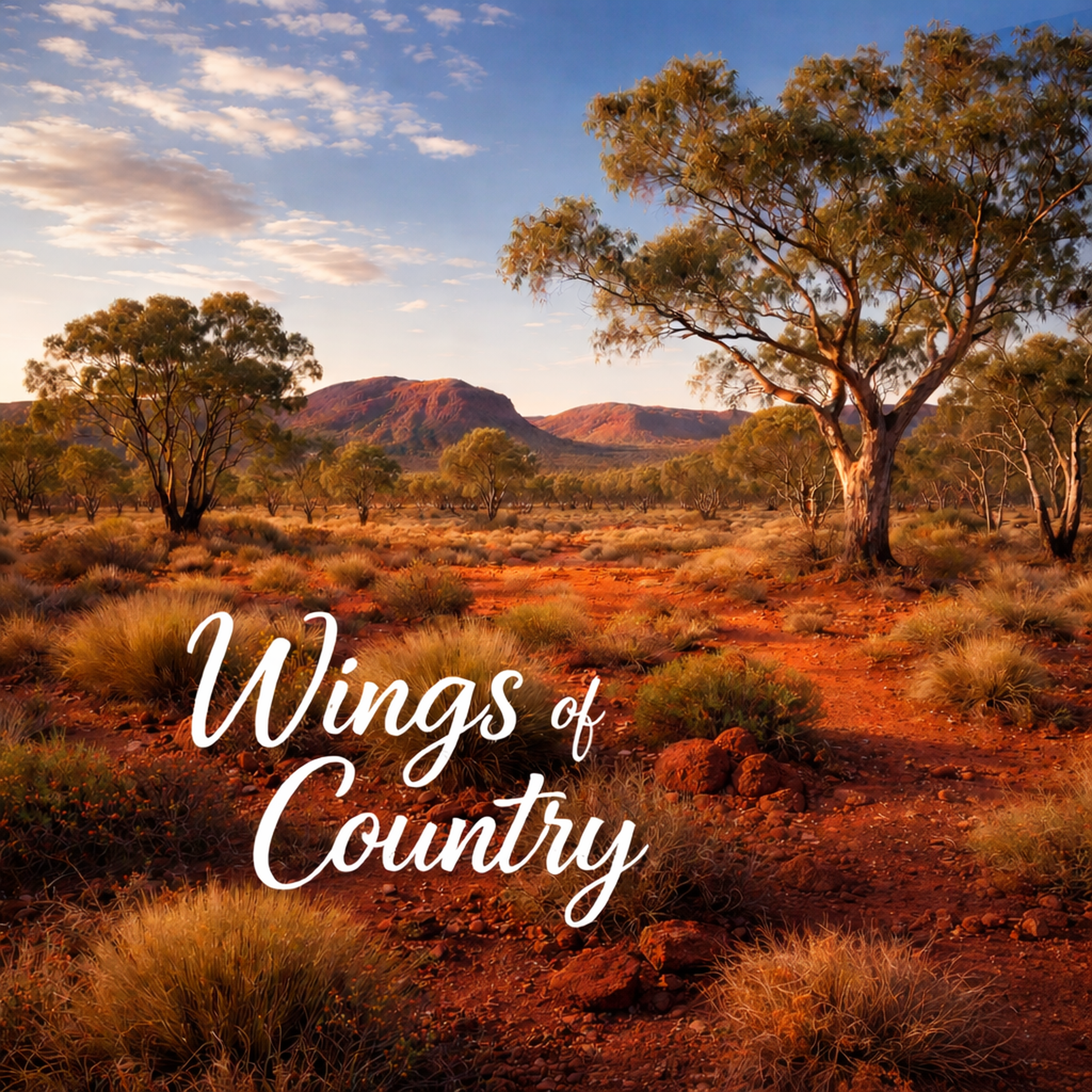 Wings Of Country podcast artwork